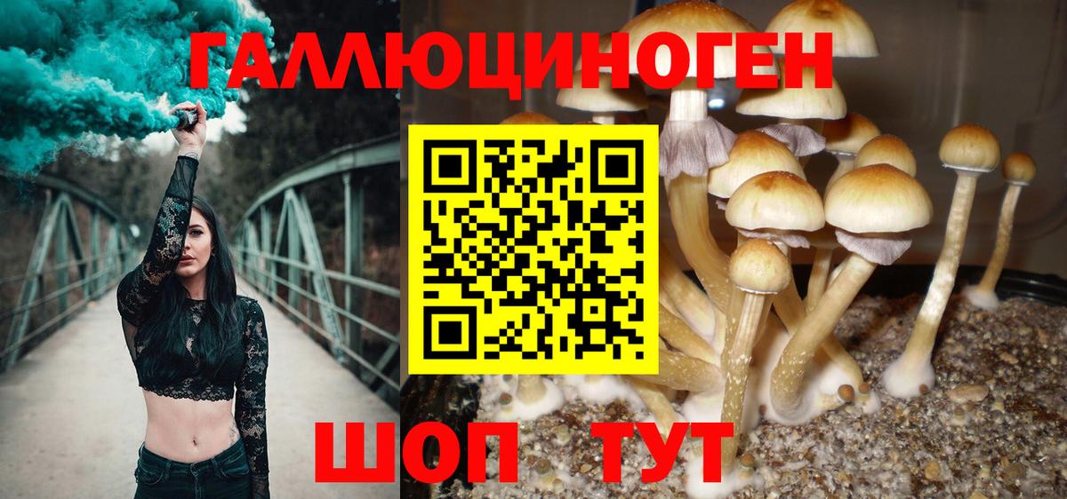 Псилоцибиновые грибы Psilocybine cubensis Нефтекамск